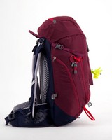 Deuter Trail 28 SL Backpack -  berry