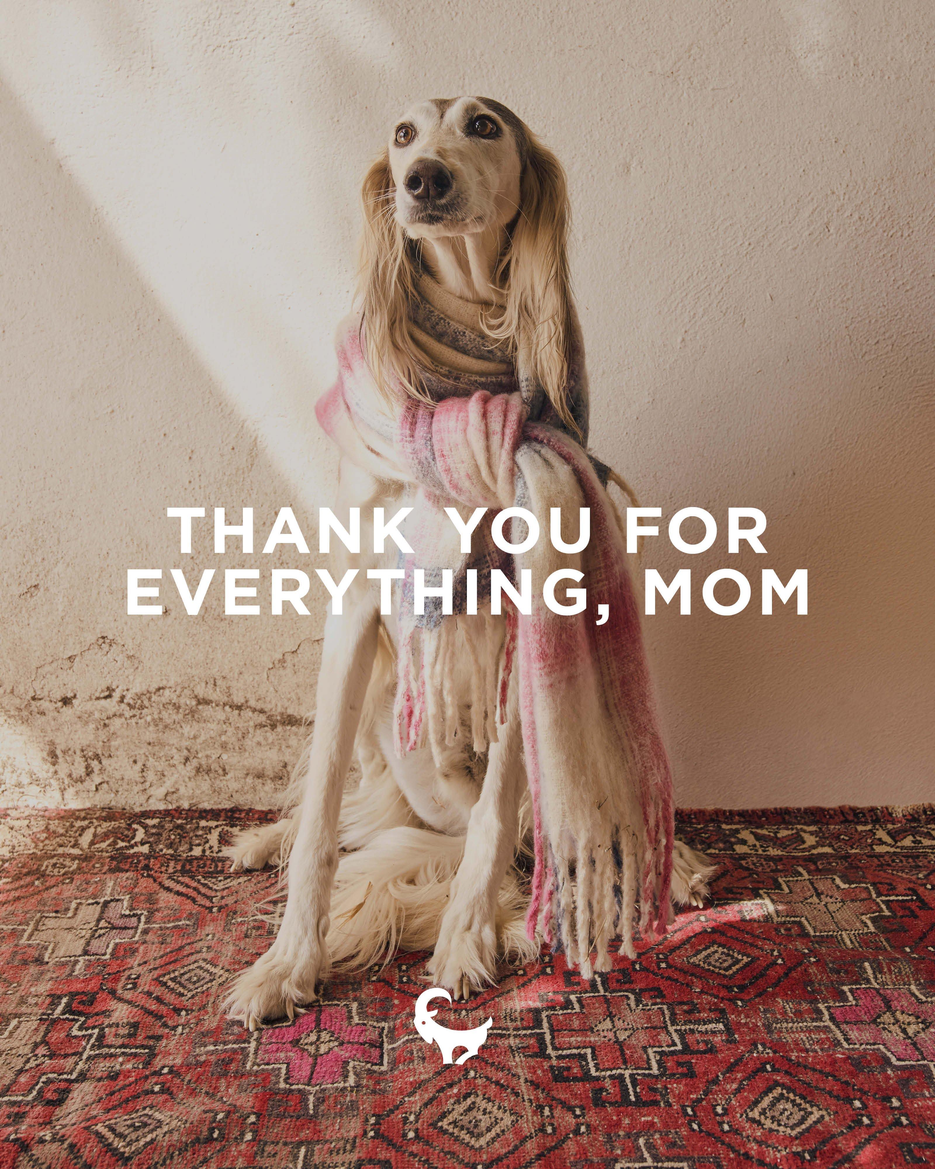 Gift Card - Thank you for everything, mom -  