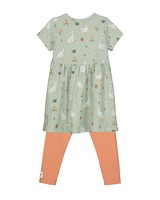 Girls Duck Dress Set -  palegreen