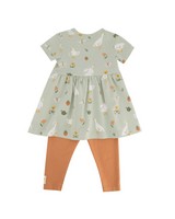 Baby Girls Duck Dress Set -  palegreen