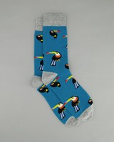Men's Zazoo Toucan Sock -  assorted