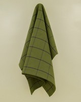 Grid Tea Towel (Two-Pack) -  green