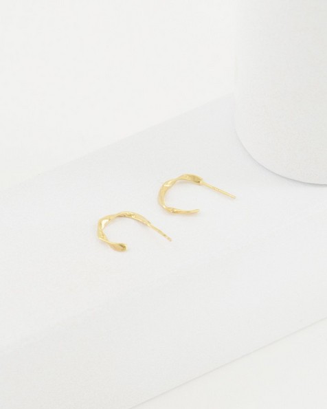 Small Twisted Hoop Earrings -  gold