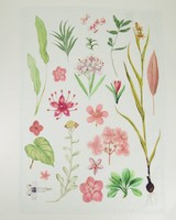 Femme Botanical Tea Towel -  pink