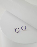 Horseshoe Studded Earrings -  iceblue